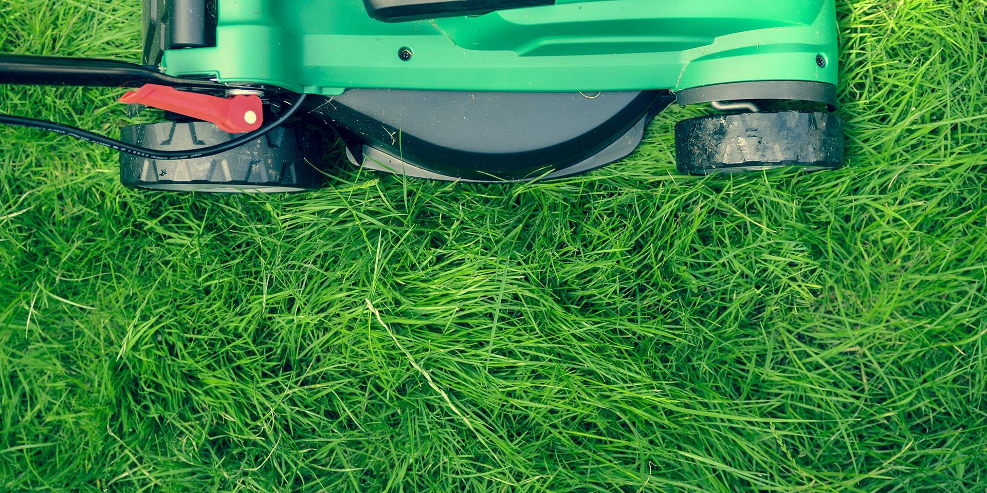 grass maintenance services with th grounds